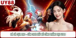 Đá Gà Cựa Dao - Sân Chơi Đấu Kê Căng Thẳng Tại UY88